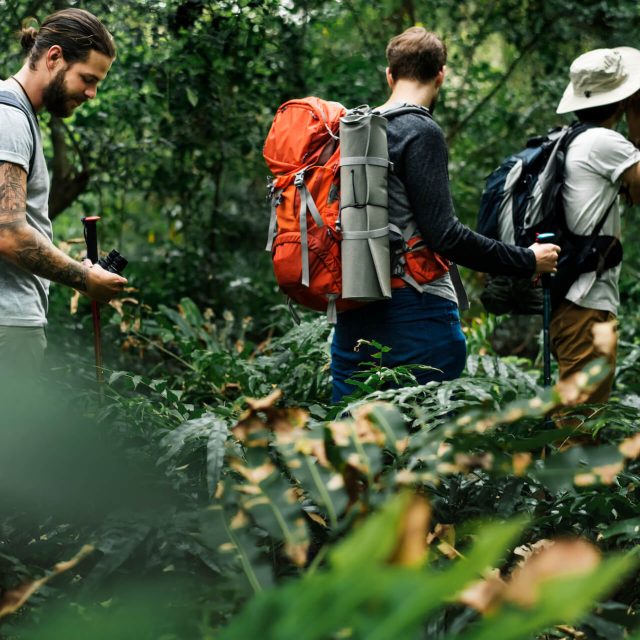 hikers-trekking-in-a-forest-together-2022-09-16-07-42-40-utc.jpg