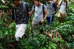 trekking-in-a-forest-2022-09-16-08-44-12-utc.jpg