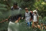 trekking-in-a-forest-2022-09-16-09-07-27-utc.jpg