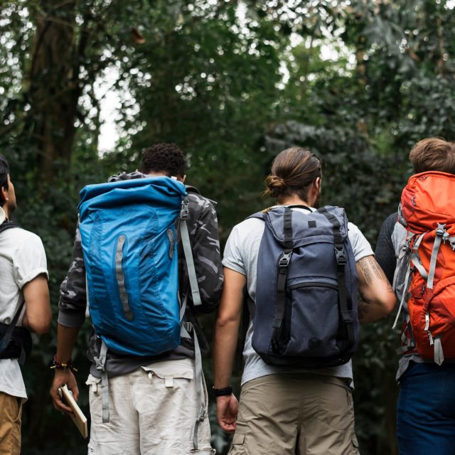 trekking-together-in-a-forest-2022-09-16-07-30-28-utc.jpg