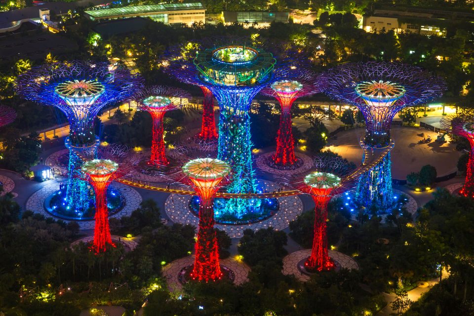 high-angle-view-of-illuminated-supertree-grove-at-2022-03-04-02-35-20-utc-e1671417996239.jpg
